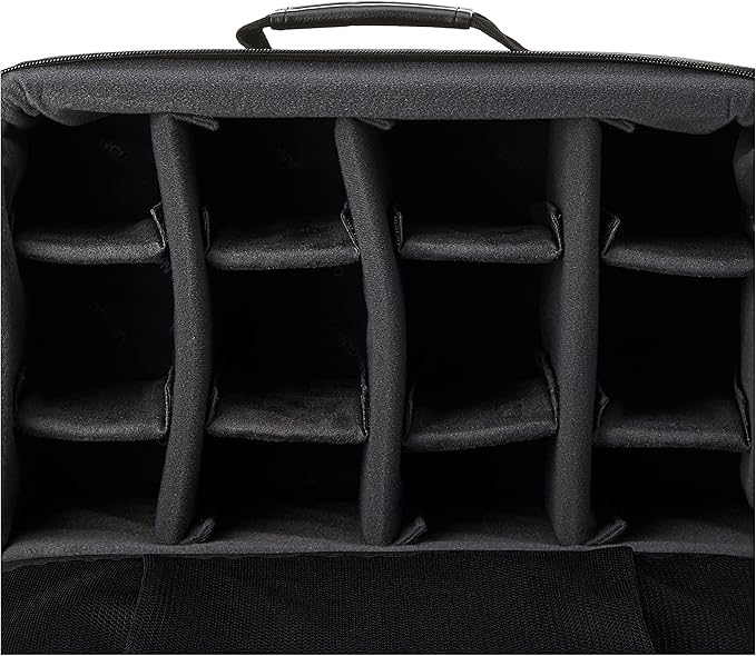 VANGUARD Divider Bag 40 Customizeable Insert/Protection Bag for SLR DSLR Camera, Lenses, Accessories,Black