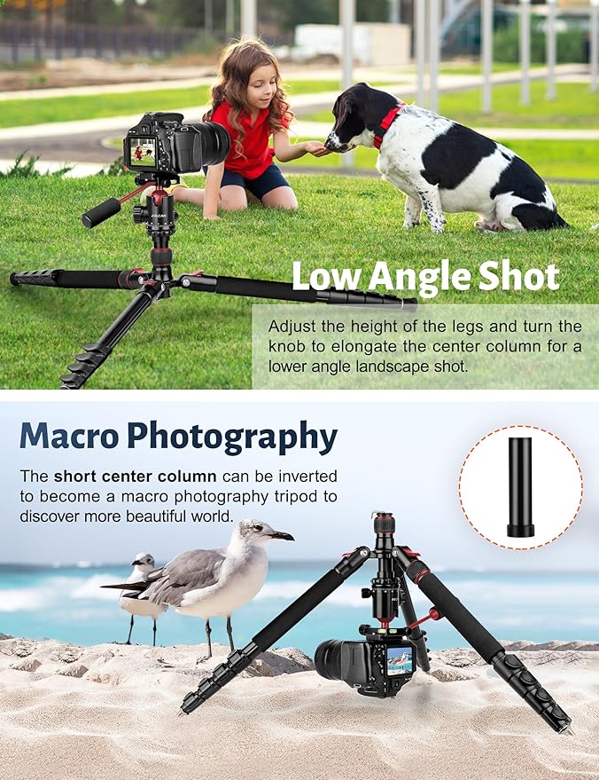 JOILCAN Camera Tripod, 83" Heavy Duty Aluminum Tripod for DSLR/Camera/Smartphone - with Handle, Converts to Monopod, Holds 35lbs